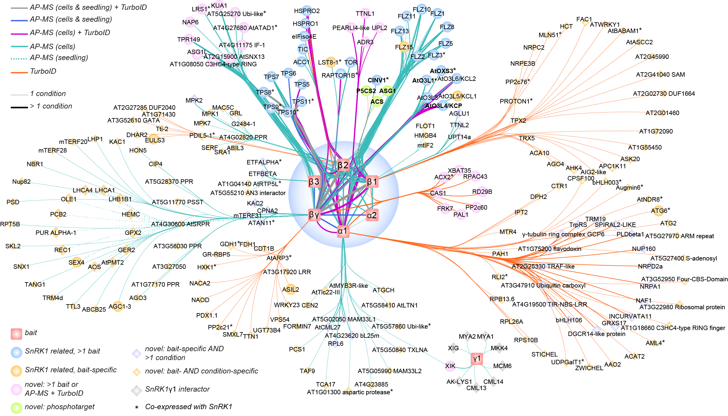 The SnRK1 signaling network mapped by AP-MS and proximity labeling